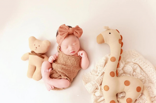 邵阳宝宝虾的做法